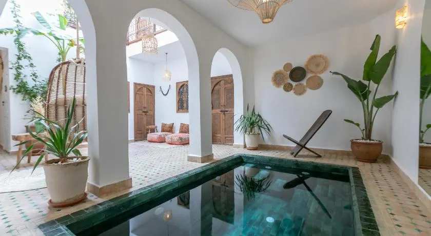 Riad Lamalika - Image 1