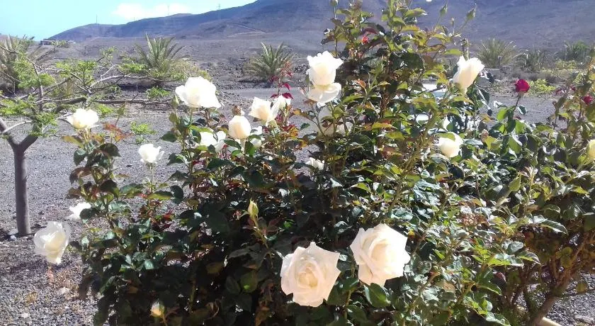 Finca Los Rosales, landlige hus beliggende i La Lajita dalen, Fuerteventura. - Image 1