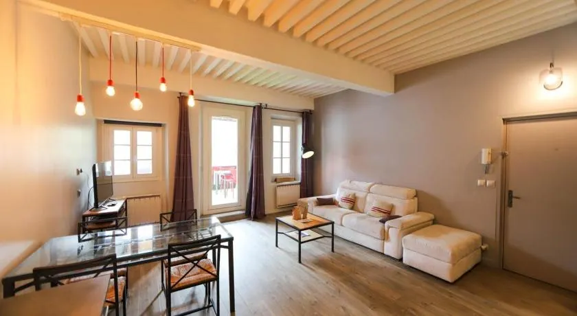 55 m2 Apart with big terrace in Annecy downtown - Image 1