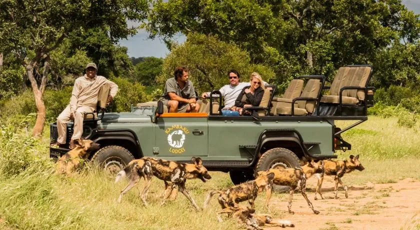 Kambaku Safari Lodge - Image 1