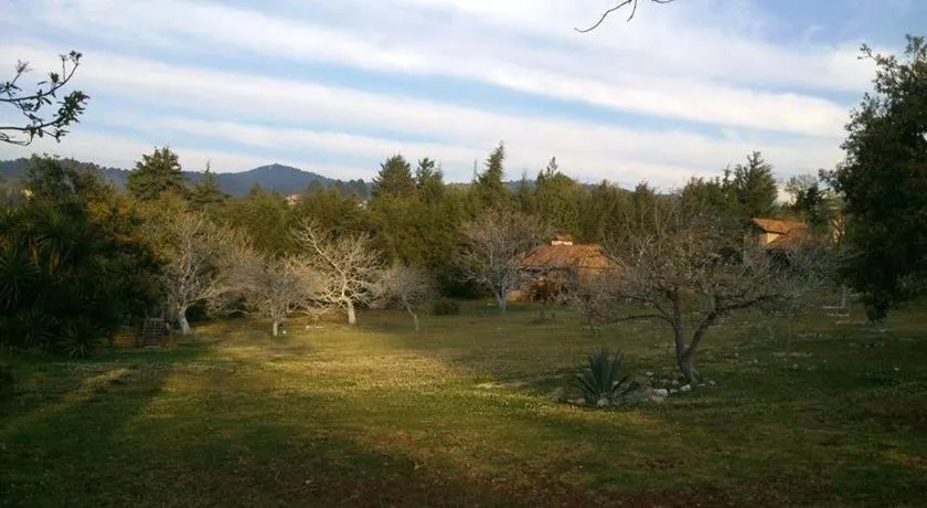 Cabañas La Tierra Grande - Image 1
