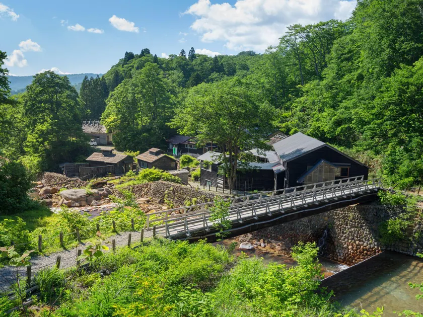 Ryokan Magoroku Onsen - Image 1