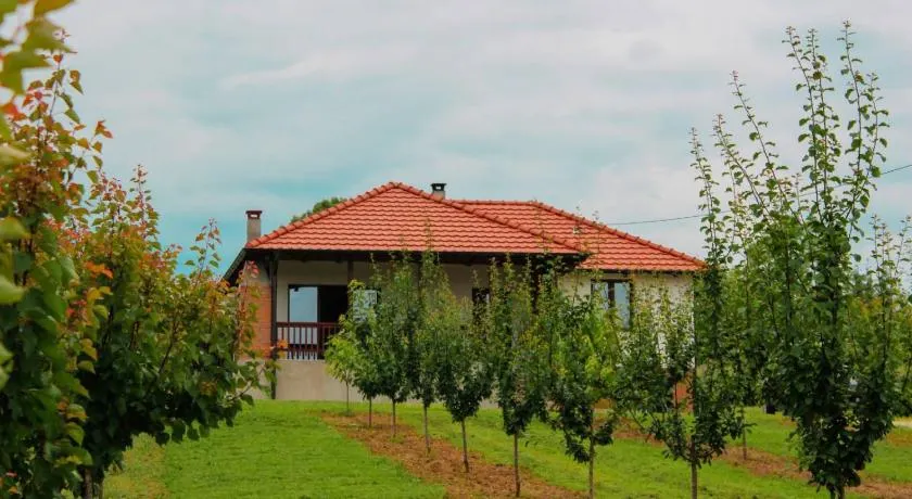 Villa Sladjana - Image 1