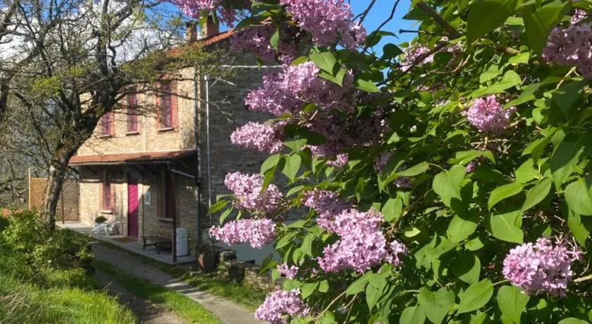 La Lupa e l'Orso B&B - Image 1