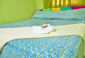 Kingston Sunset Guest Apartment II - Image 1