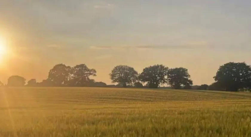 Tranquil detached barns in Sherborne St John - Image 1