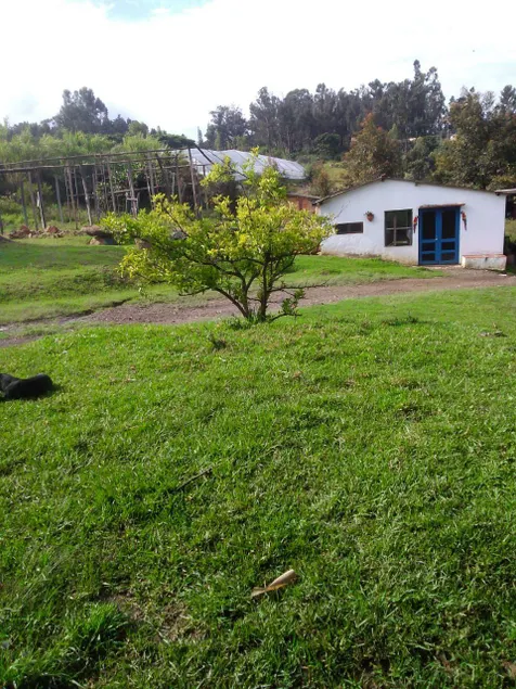 VILLA FLOR - Image 1