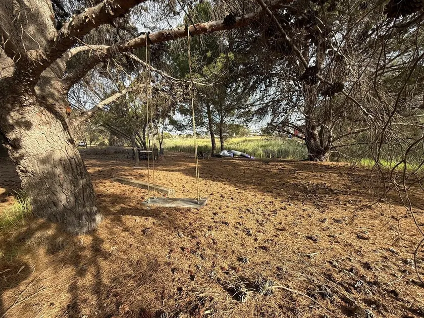 Woody House with a Creek - Image 1