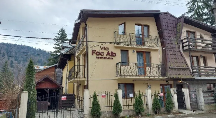 Vila Foc Alb Apartamente-Busteni - Image 1