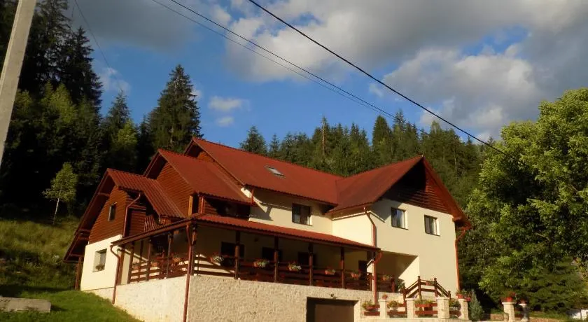 Pensiunea agroturistică Casa Brădeana - Image 1