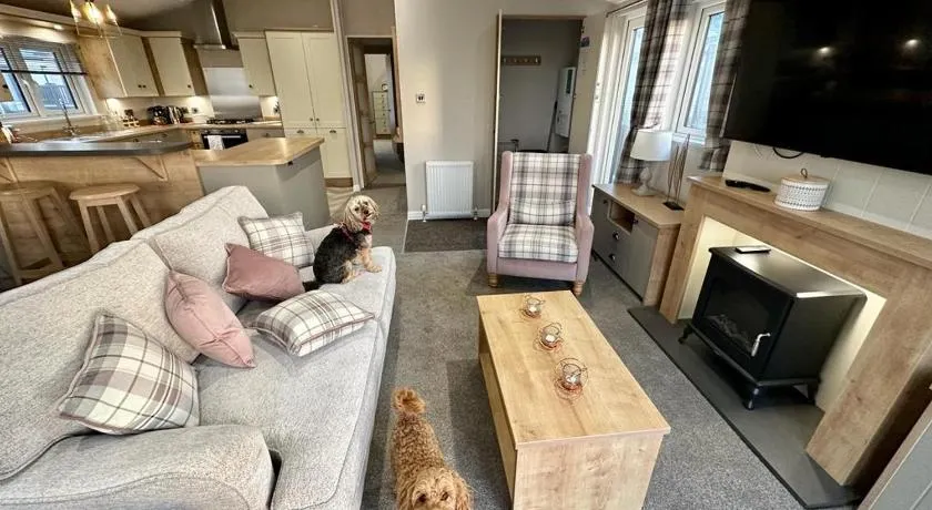 Luxury 3 bedroom Maple View Lodge, Newquay, Cornwall - Image 1
