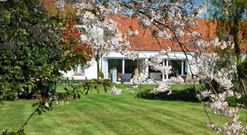 Polderlicht - Image 1