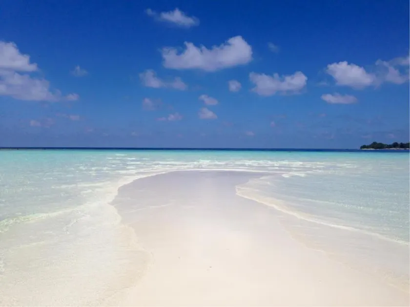 Holiday Cottage Thoddoo, Maldives - Image 1