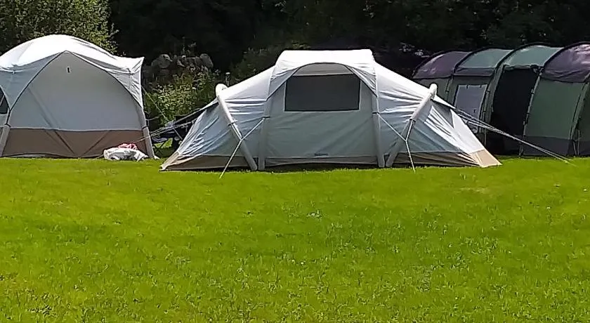 St Mullins Natural Camping - Image 1