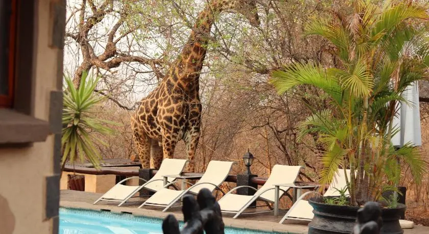 B&B African Rock Lodge - Image 1