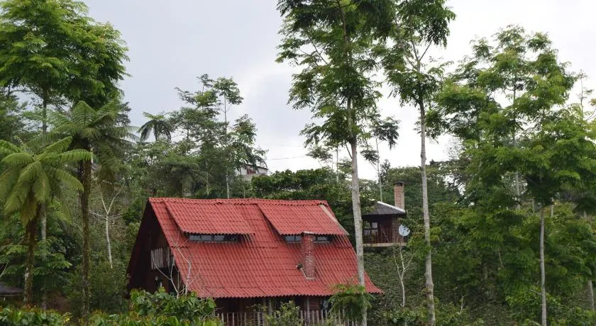 Cabañas los Cedros - Image 1