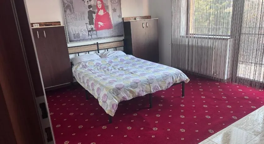 Vila cu trandafiri - Cozy Apartments Studio cu pat matrimonial - Image 1