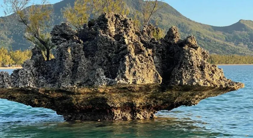 Waveist Crest - Image 1
