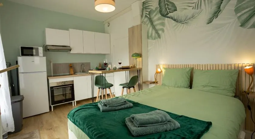 Jungle Studio - Déco tropicale et confort moderne - Image 1