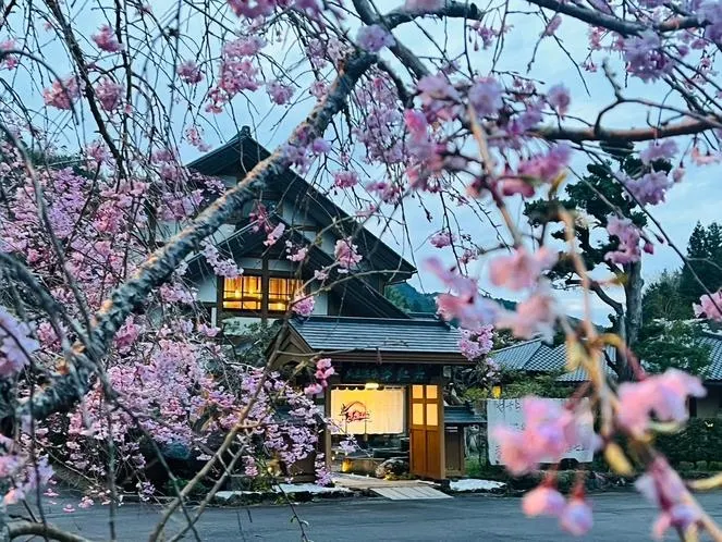 すいこうえんさくら - Image 1