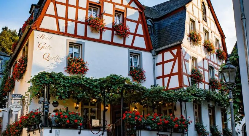 Hotel Gute Quelle - Image 1