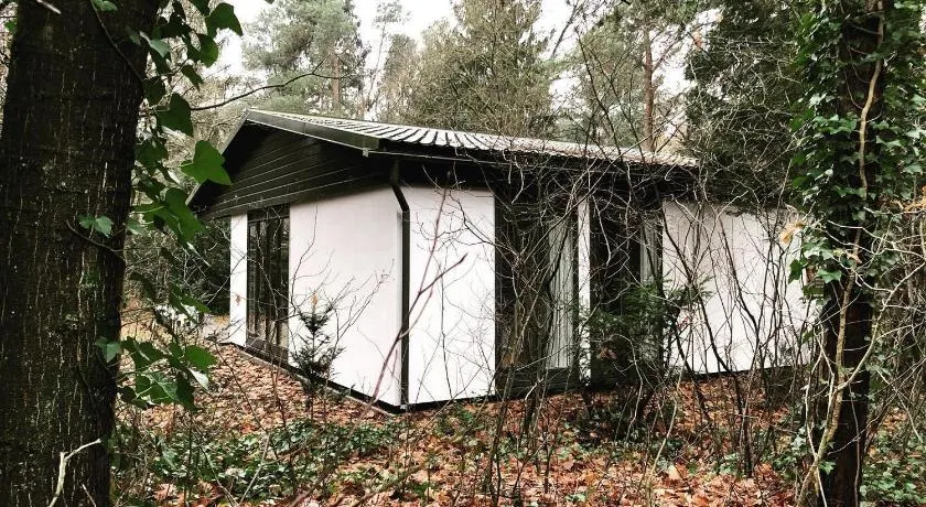 huis op de veluwe - Image 1