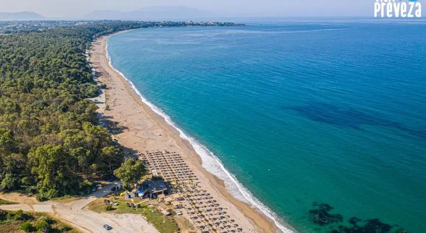 Apollonio Nikopolis - Image 1