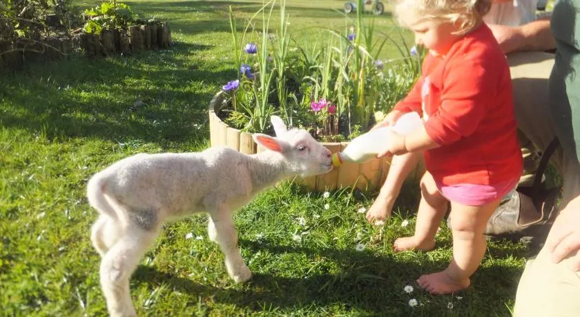 Little Paradise & Petting Farm - Image 1