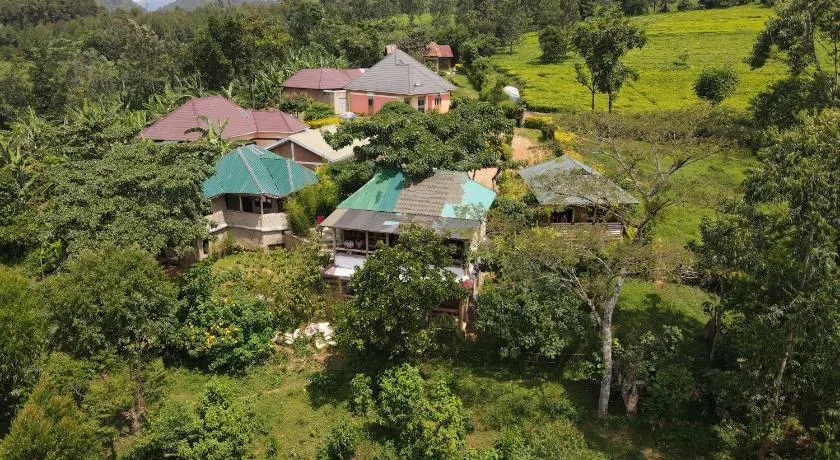 Bwindi My Home - Image 1