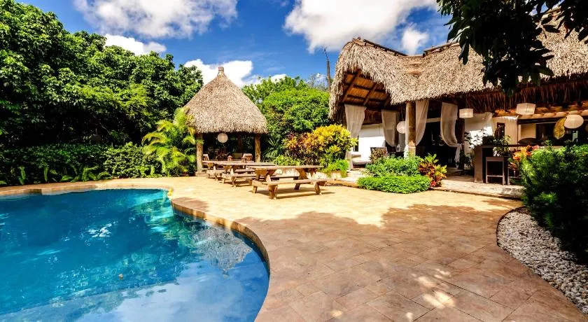 Wonderkoi - Oasis with Pool and Koi Ponds in Miami - Image 1