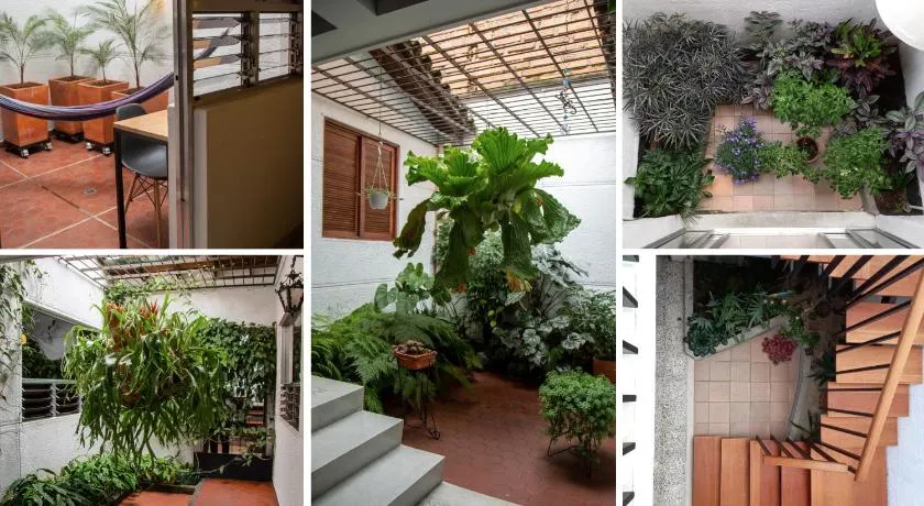 CASA DE LOLA - Image 1