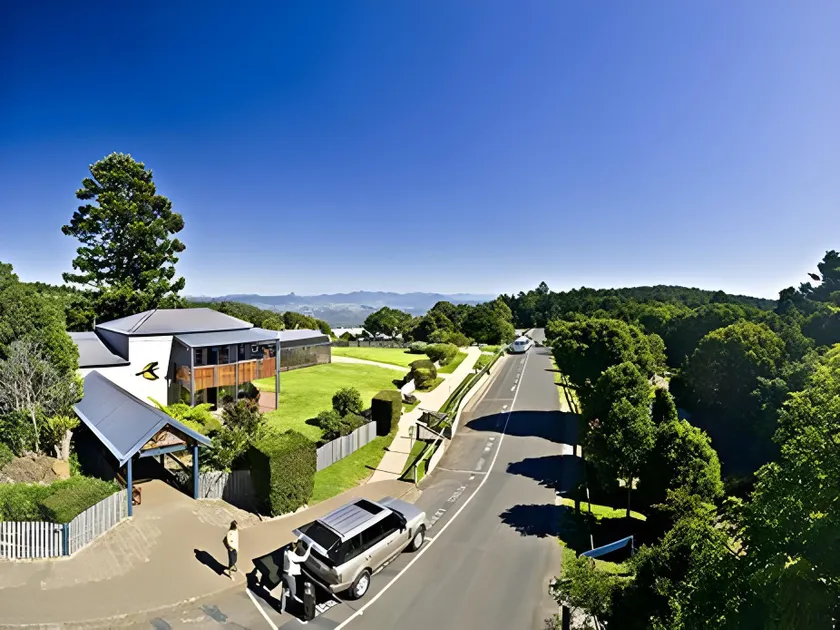 O'Reilly's Rainforest Retreat - Image 1