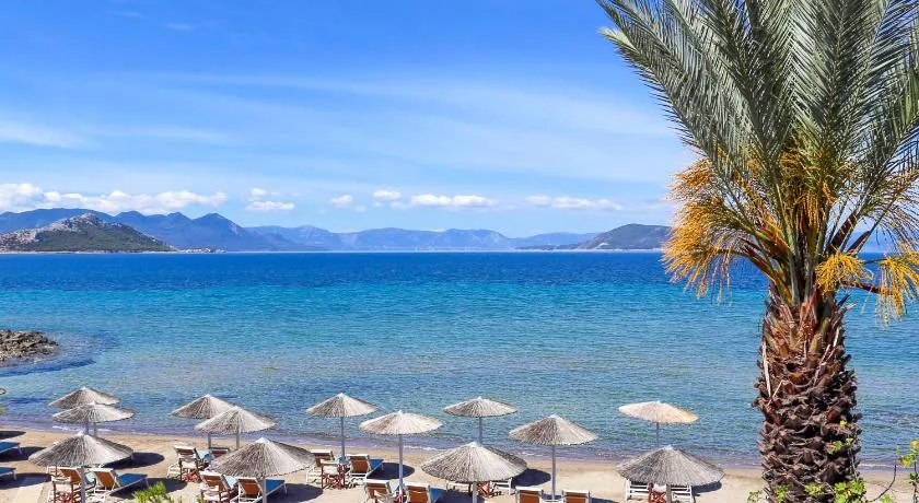 The Beach - Image 1