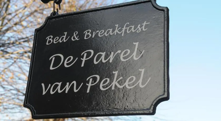 De Parel van Pekel - Image 1