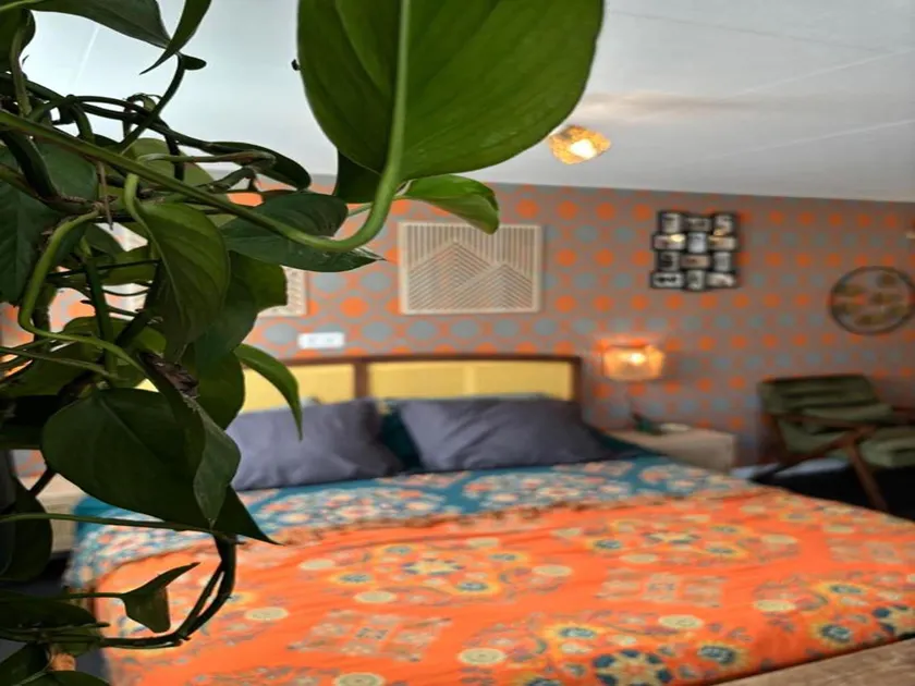 Barn Stay with Soul in Noordgouwe - Image 1