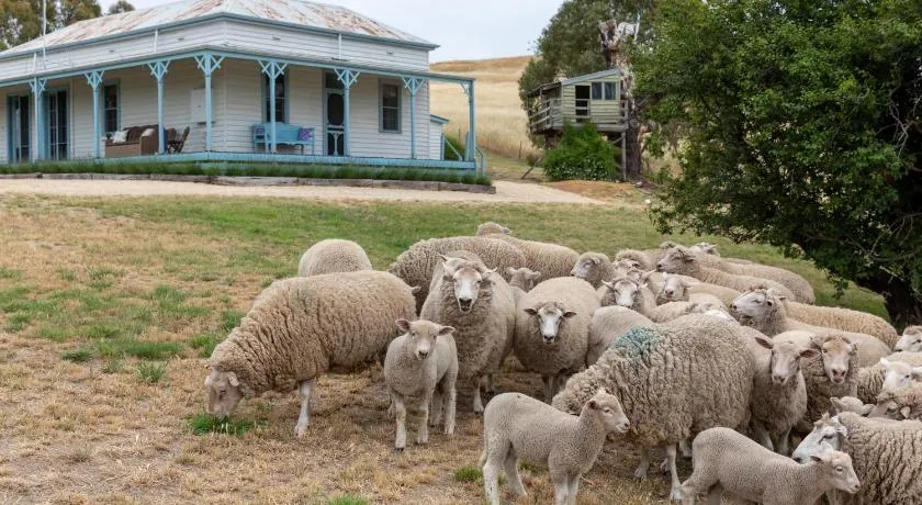 CHARTER FARM - FIND YOUR HAPPY HAMLET - Image 1