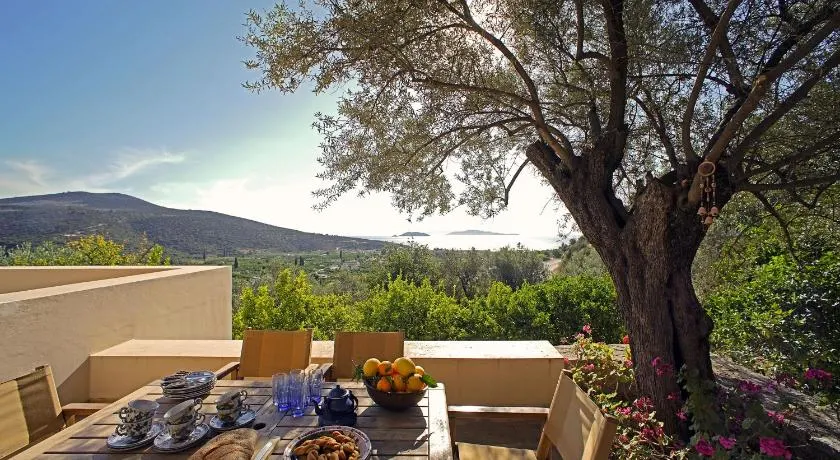 Epidaurus Olive Villa - Image 1