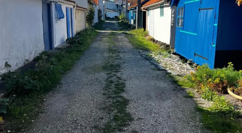 L'étoile de mer - Image 1