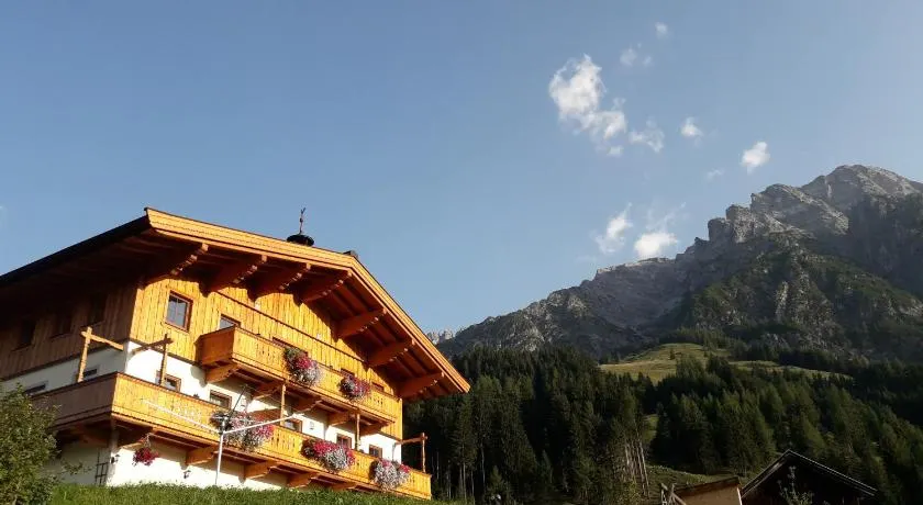 Riedlhof - Leogang - Image 1