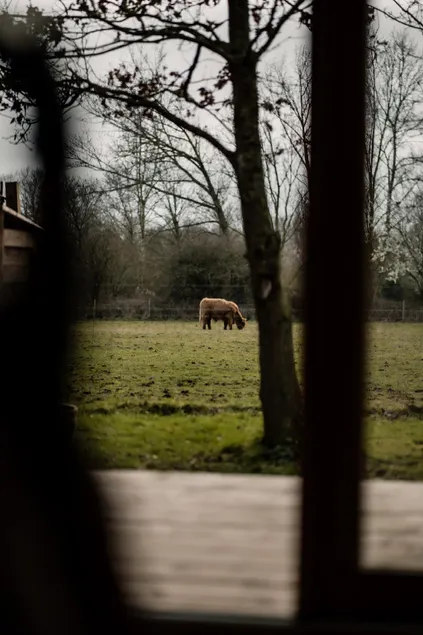 Honeywood Farm Cabins - Image 1