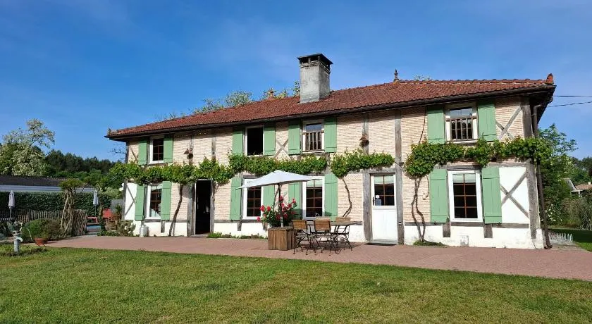La résinière de pirique - Image 1
