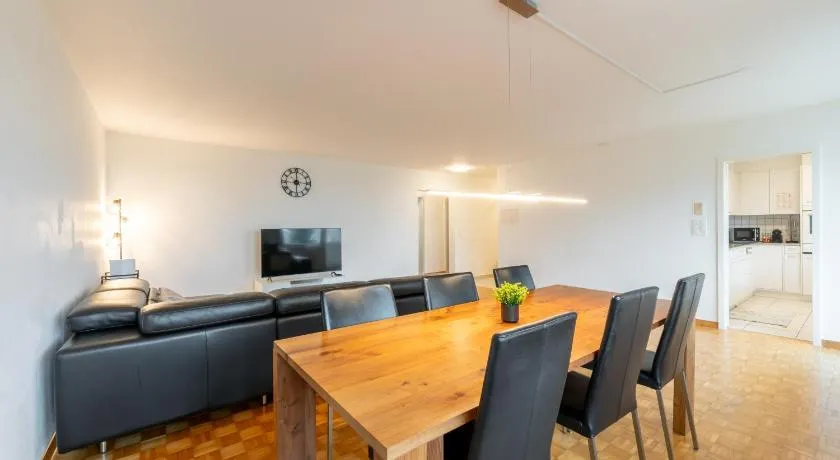 Swiss Suites Oberrohrdorf - Image 1