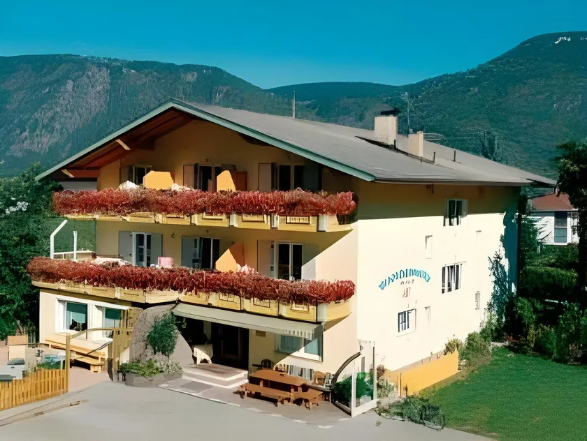 Hotel Mehrhauser der Kienzl Kristin - Image 1