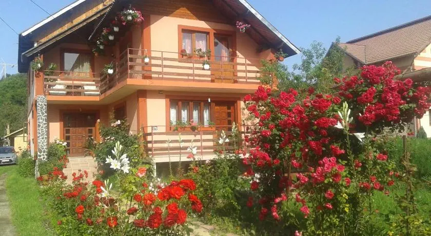 Nopti de Vara Transfăgărășan - Image 1