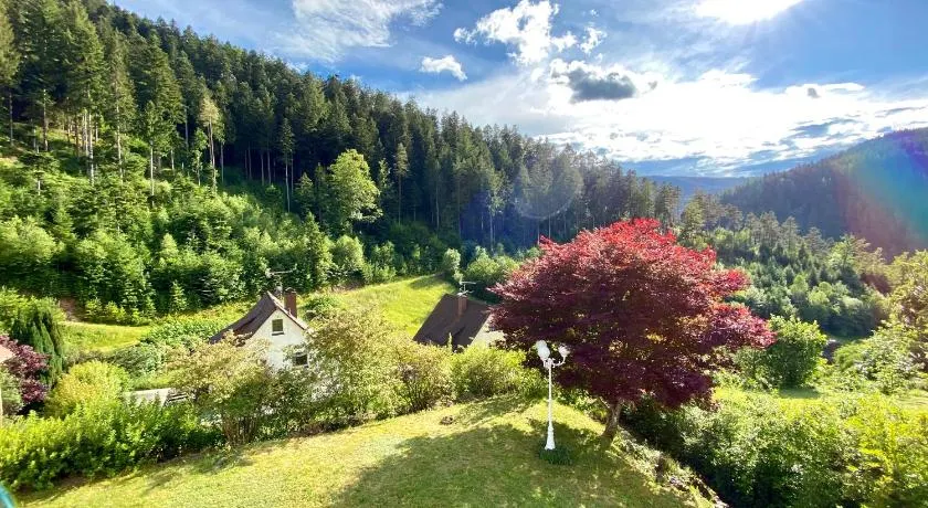 Ferienwohnung zur Bierliebe - Mit toller Aussicht im Herzen des Schwarzwaldes - Image 1