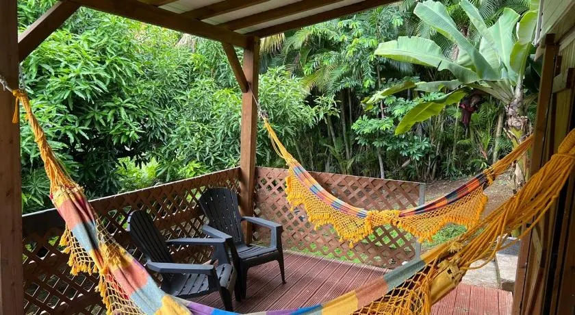 Coconut Studio - Image 1