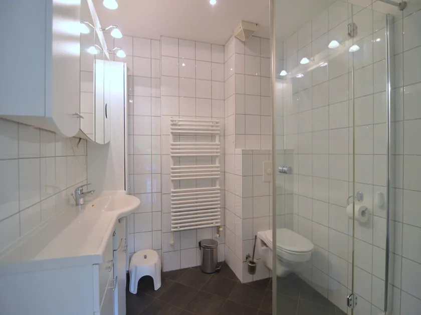 Holiday Home Voorthuizen near De Veluwe - Image 1