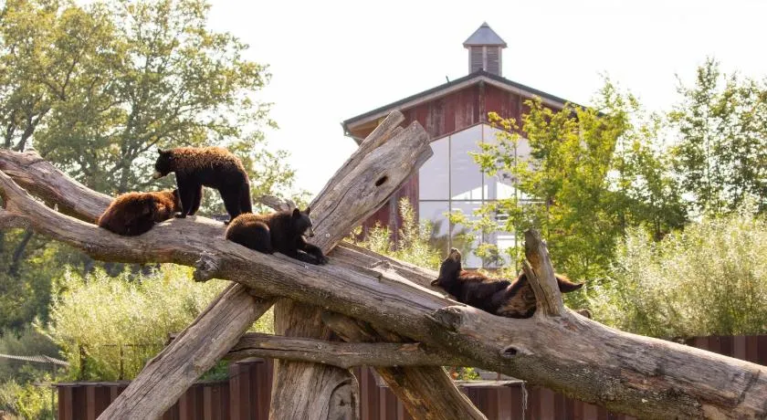 Parc Animalier de Sainte-Croix - Image 1