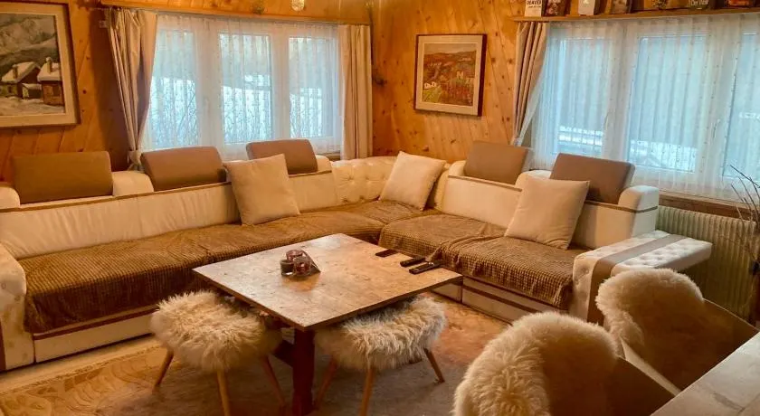 Ski Chalet Rinerhorn - Image 1