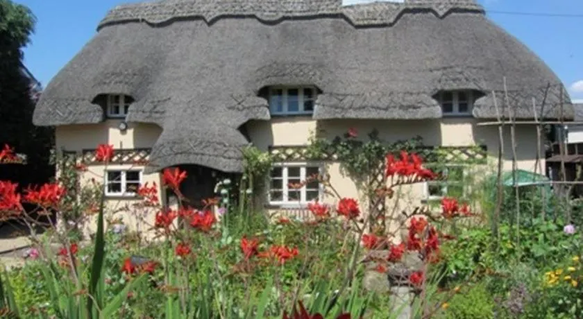 The Stable - Image 1